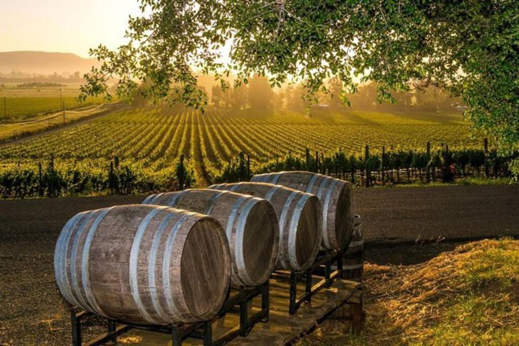 The Container Retreat @ 290 Wine Trail #10 Welcome Friends! Hye Екстер'єр фото
